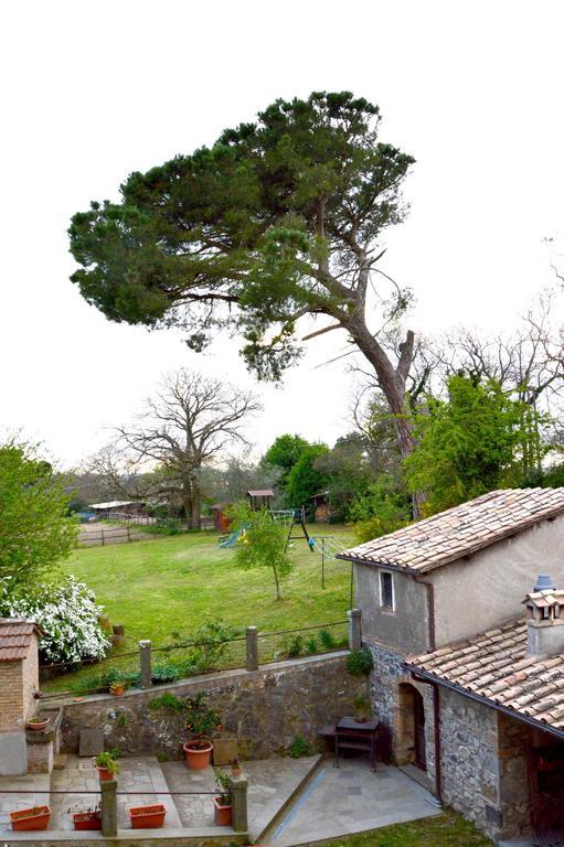 Agriturismo Tenuta Buon Respiro Орв'єто Екстер'єр фото